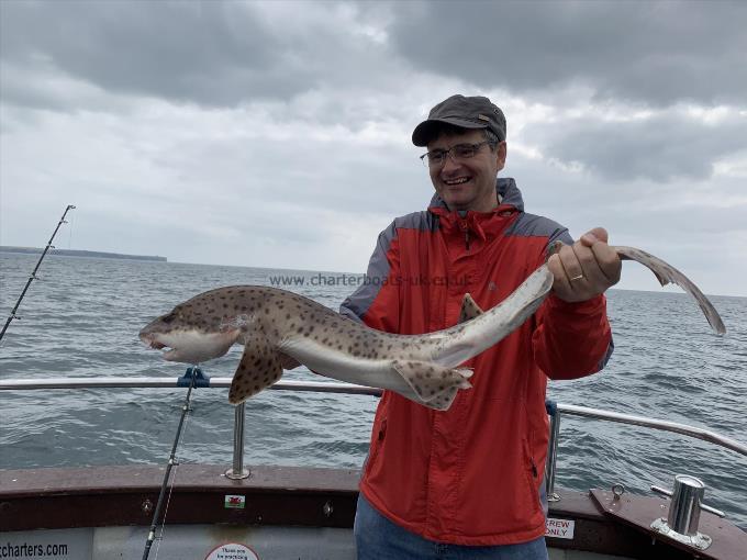9 lb Bull Huss by JC