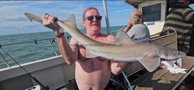 9 lb 8 oz Starry Smooth-hound by Pete