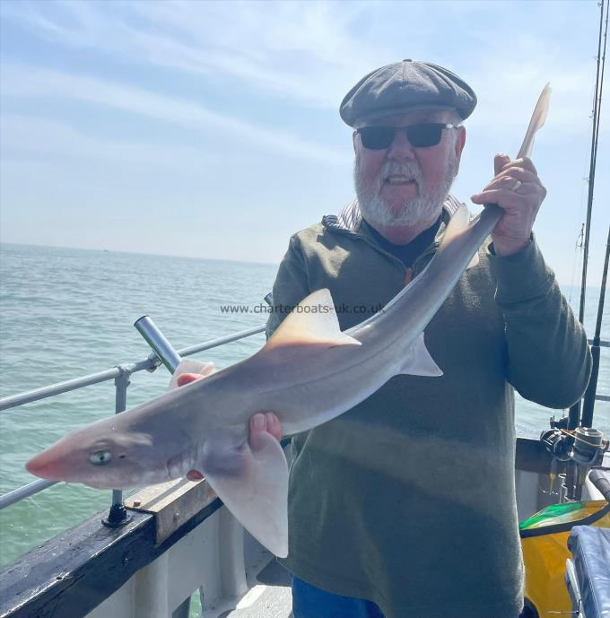 7 lb Smooth-hound (Common) by Unknown