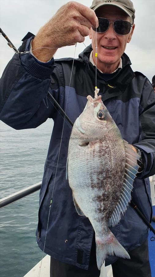 2 lb Black Sea Bream by Tony