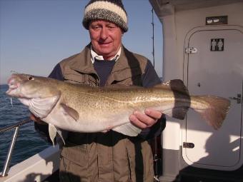 11 lb Cod by Unknown