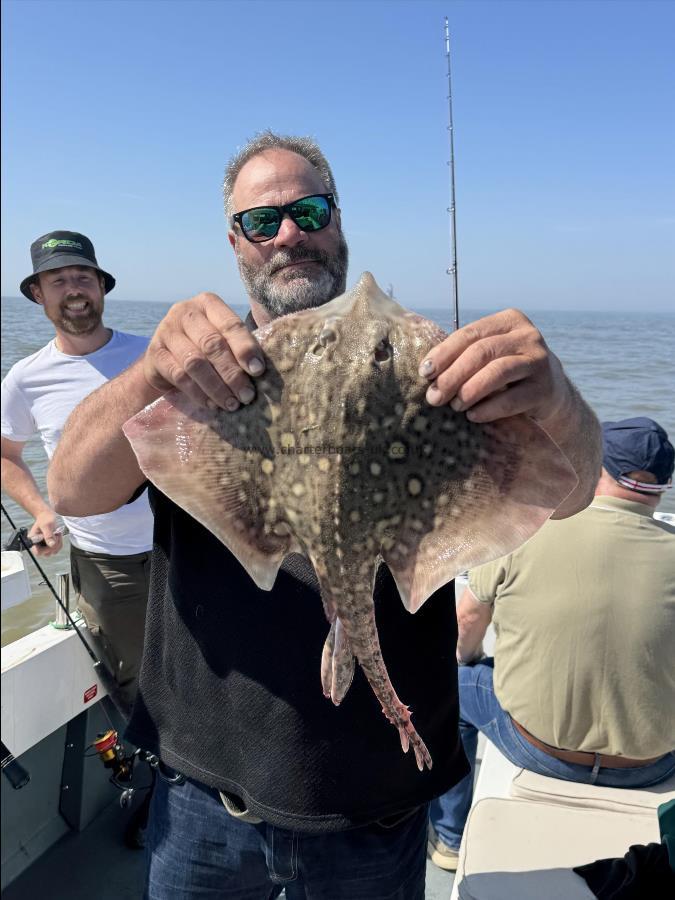 4 lb Thornback Ray by Des