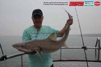 20 lb Starry Smooth-hound by Steve