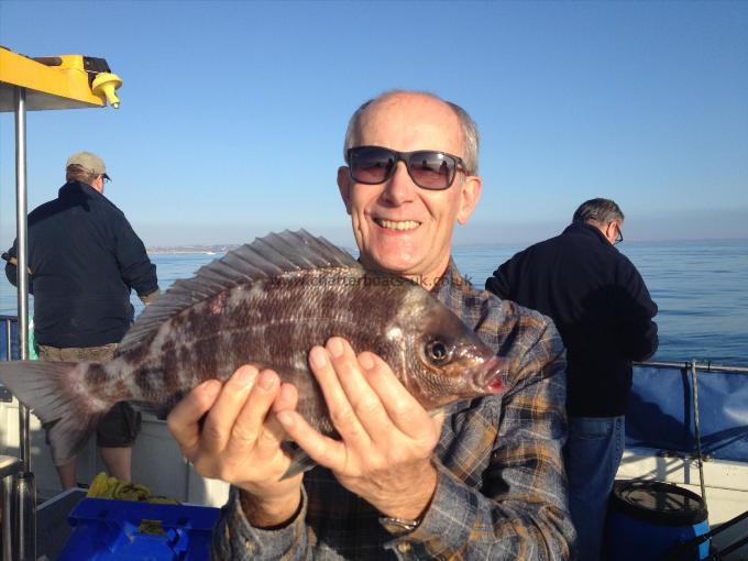 3 lb 2 oz Black Sea Bream by Peter