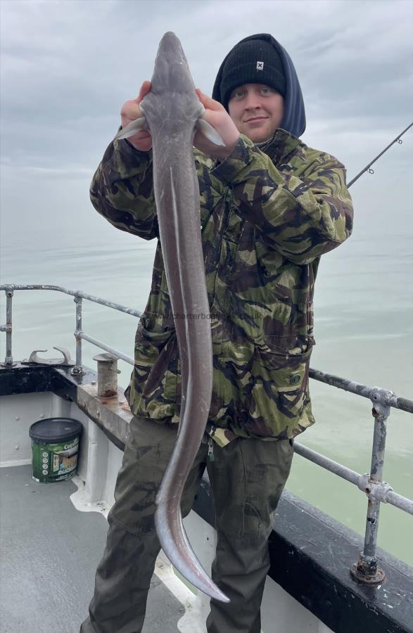 12 lb Conger Eel by Unknown