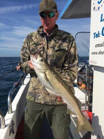 13 lb Pollock by Russ Chapman