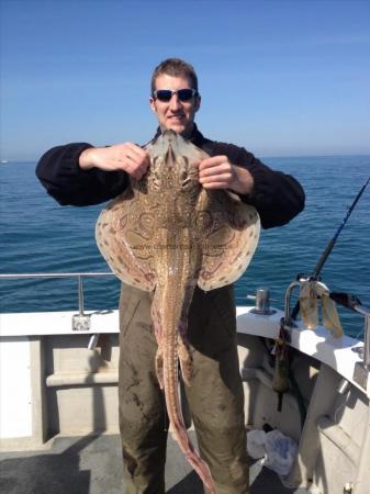 13 lb Undulate Ray by Kieron Seymour