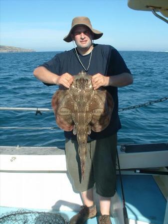 13 lb 9 oz Undulate Ray by Alex Kweller