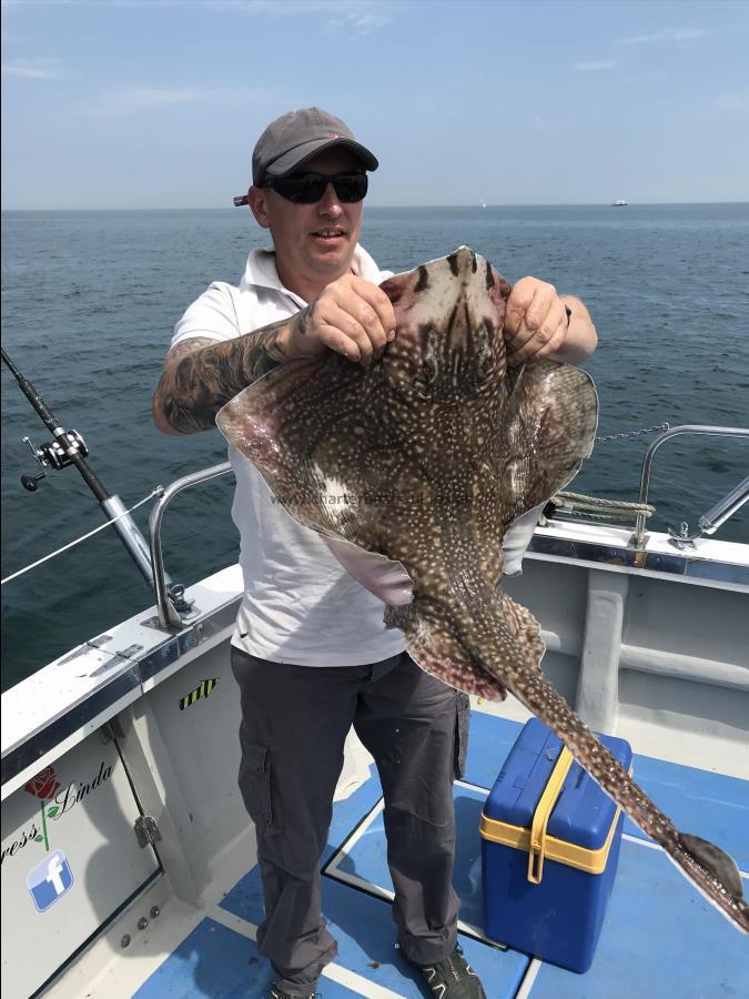 14 lb Thornback Ray by Colin