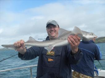 7 lb Starry Smooth-hound by Unknown