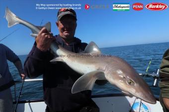 16 lb Starry Smooth-hound by Stephen