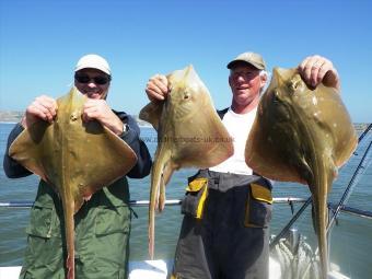 10 lb Small-Eyed Ray by Unknown