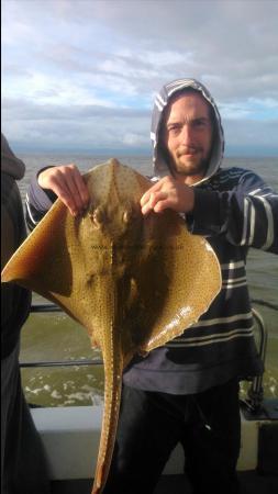14 lb Blonde Ray by Nathan