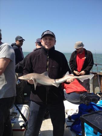6 lb Smooth-hound by Matt Rayner