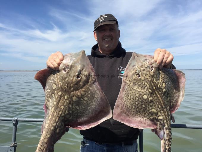 7 lb Thornback Ray by Unknown