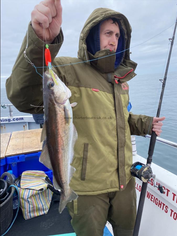 2 lb 15 oz Pollock by Luke.