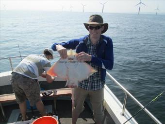 8 lb Thornback Ray by Unknown