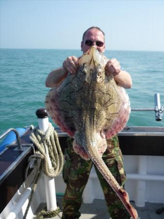 17 lb 3 oz Undulate Ray by Unknown