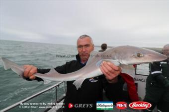 6 lb Starry Smooth-hound by Tony
