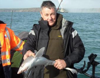 5 lb 4 oz Starry Smooth-hound by Stan