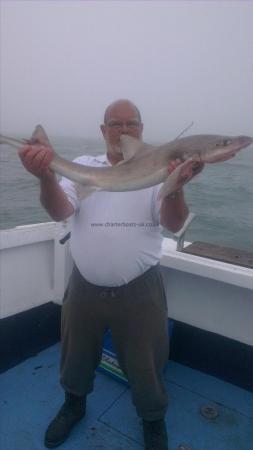 11 lb Smooth-hound by tim again