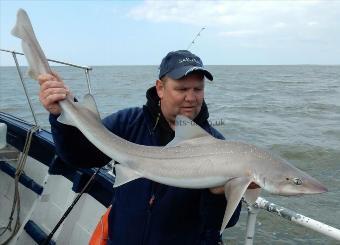 10 lb Smooth-hound (Common) by Bruce