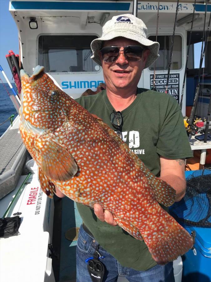 7 lb 8 oz Ballan Wrasse by Andy