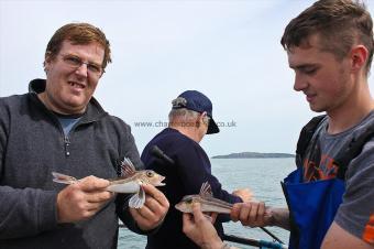 8 oz Grey Gurnard by Dave & Sean