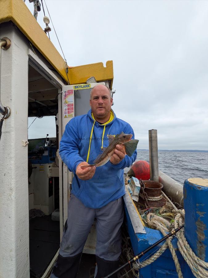 14 oz Tub Gurnard by Skipper - Nick Gough