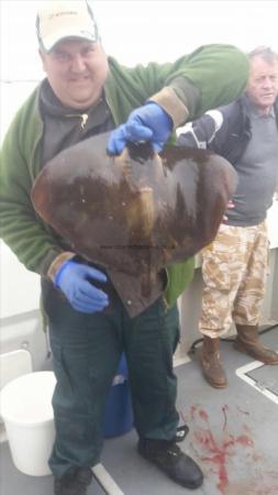 16 lb Stingray (Common) by Stephen Ward