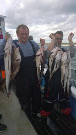 8 lb Ling (Common) by bob urry and shaggy from hull