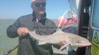 5 lb 8 oz Starry Smooth-hound by Martin from Chartham
