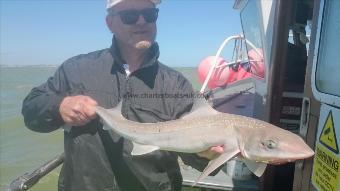 5 lb 8 oz Starry Smooth-hound by Martin from Chartham