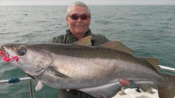 14 lb 12 oz Pollock by Jon Himpfen