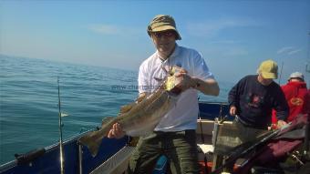 13 lb Pollock by Stephen Wake