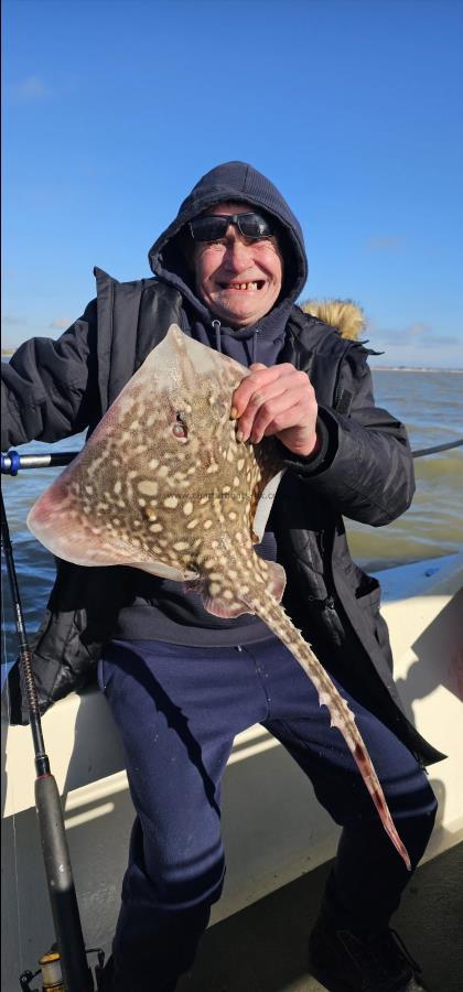 4 lb Thornback Ray by Trevor