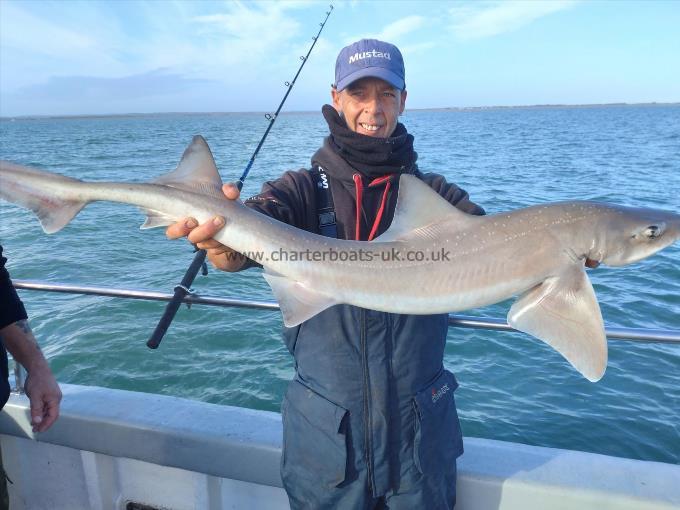 14 lb Smooth-hound (Common) by Paul