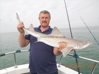 12 lb Smooth-hound (Common) by Clive with another cracking hound