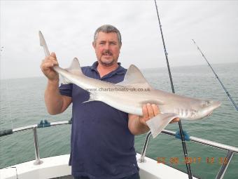 12 lb Smooth-hound by Clive with another cracking hound