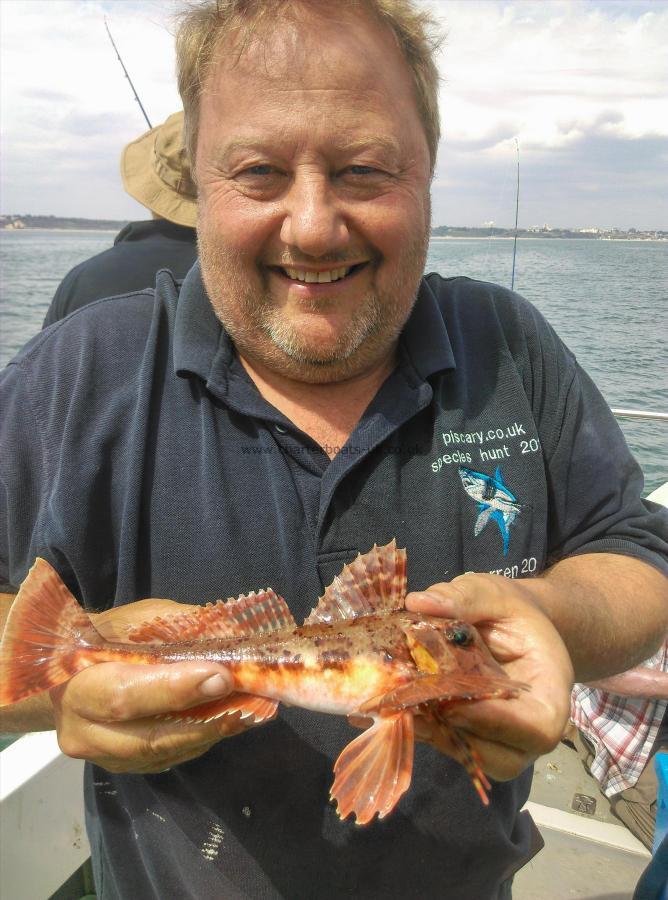 6 oz Streaked Gurnard by Darren Phillps