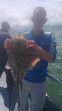 6 lb 8 oz Thornback Ray by cris from margate