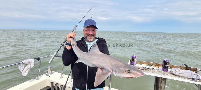 11 lb 12 oz Starry Smooth-hound by Mike