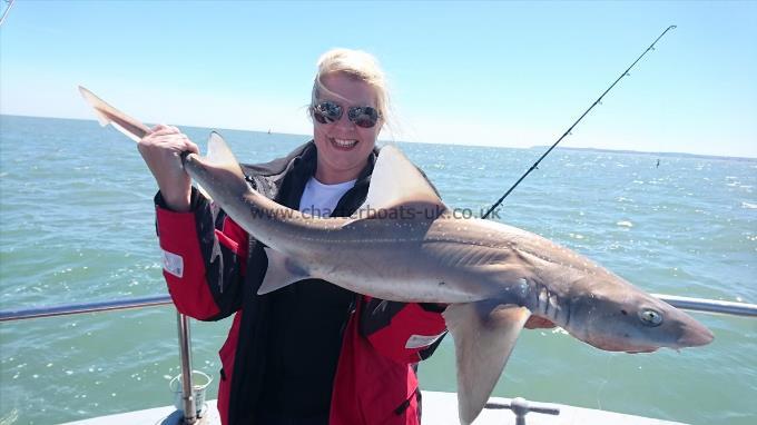 14 lb 3 oz Smooth-hound (Common) by Sarah from kent
