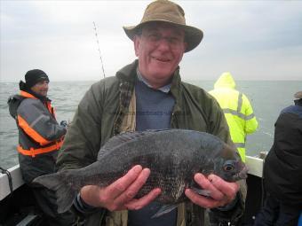 3 lb 7 oz Black Sea Bream by The anonymous Architect