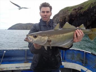 6 lb 2 oz Pollock by nice reef pollack caught close in by dave