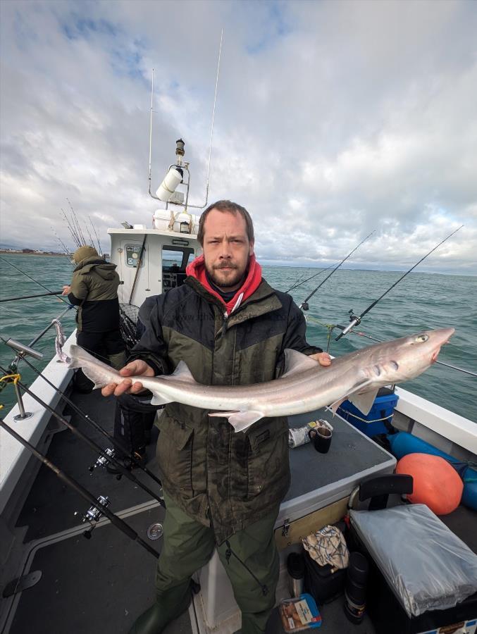 5 lb Smooth-hound (Common) by Andrew