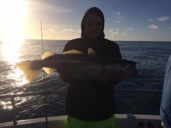 12 lb 2 oz Pollock by Unknown