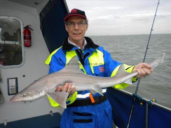 12 lb Smooth-hound (Common) by Bill Davis