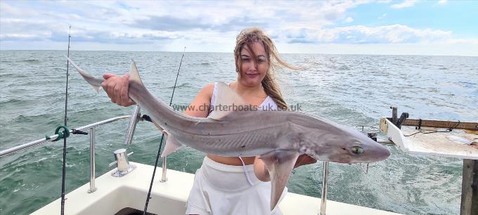 13 lb 8 oz Starry Smooth-hound by Stef