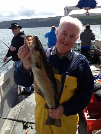 7 lb 8 oz Pollock by Bryan